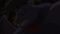 ttklOgmNuUWGMVP52RxjwrTDeXH