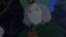 lsSSRqp9mHIiSVOpT5Yop3awxF2
