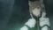 xuqXqkfurMAcEGzlm3oKfk9fiGD