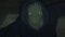 8WCQqCGEx3cL6jSM93GicxNXq9p