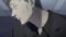 61S3CtHSaDSMxSAxVL5BaEMH9KM