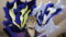luEK2WUJ12SWy34FoU4uiH5O9x4