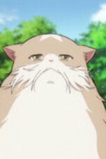 loDlYS4RhvxDYBG5QvWFUsV0H7W